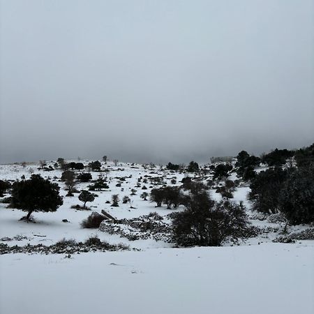 Casa Rural Las Nogueras Caserio Arroyofrio Dış mekan fotoğraf