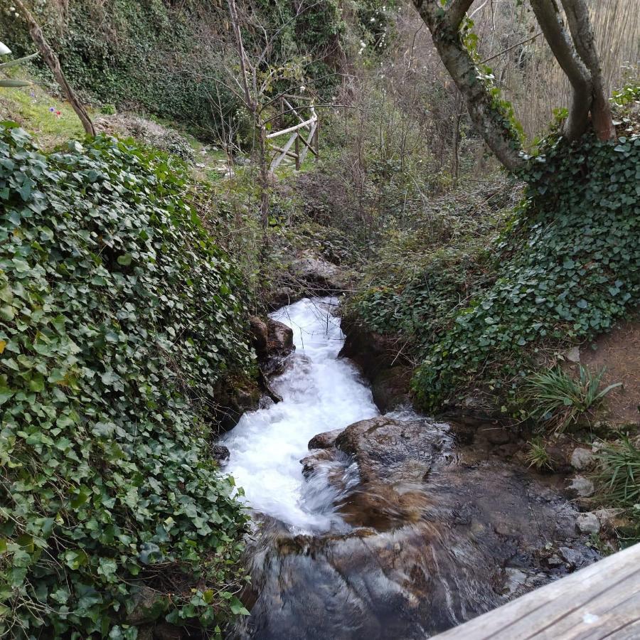 Casa Rural Las Nogueras Caserio Arroyofrio Dış mekan fotoğraf