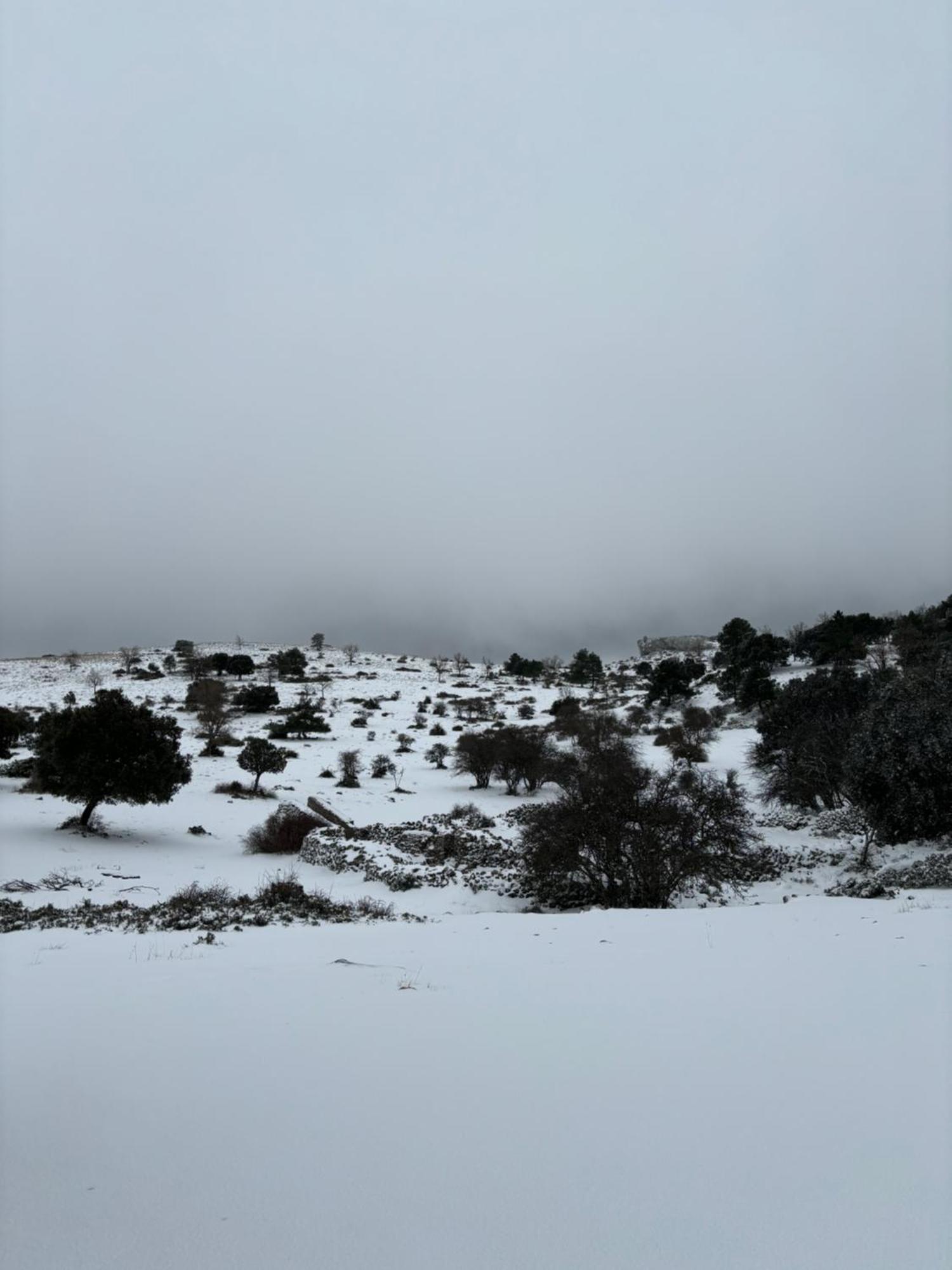 Casa Rural Las Nogueras Caserio Arroyofrio Dış mekan fotoğraf